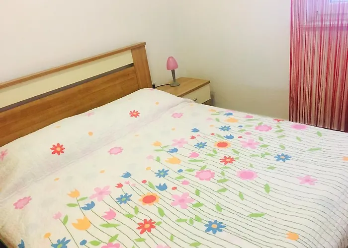 Leonardo Biograd Na Moru